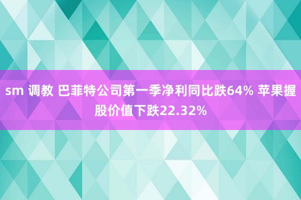 sm 调教 巴菲特公司第一季净利同比跌64% 苹果握股价值下跌22.32%