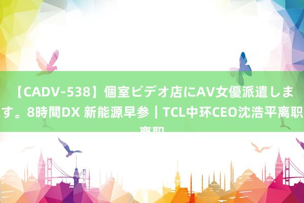 【CADV-538】個室ビデオ店にAV女優派遣します。8時間DX 新能源早参｜TCL中环CEO沈浩平离职