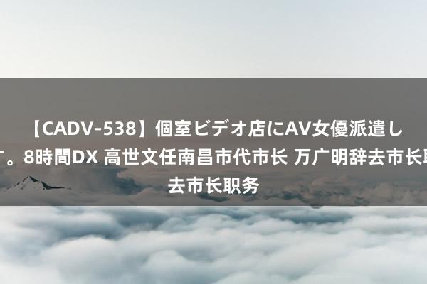 【CADV-538】個室ビデオ店にAV女優派遣します。8時間DX 高世文任南昌市代市长 万广明辞去市长职务