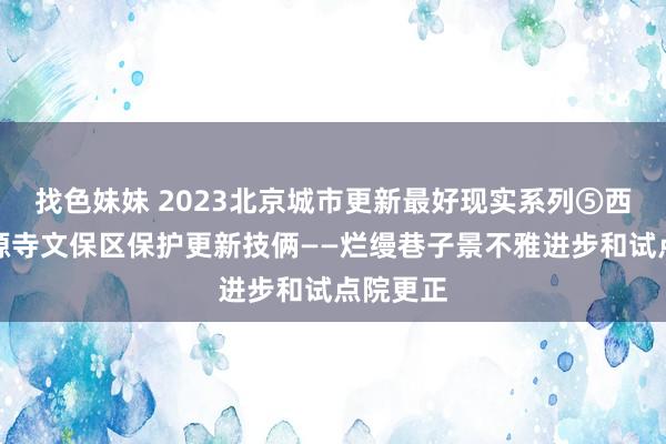 找色妹妹 2023北京城市更新最好现实系列⑤西城区法源寺文保区保护更新技俩——烂缦巷子景不雅进步和试点院更正