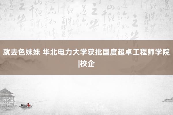 就去色妹妹 华北电力大学获批国度超卓工程师学院|校企